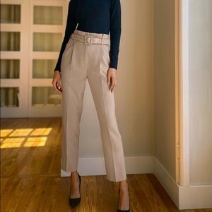 Aritzia - Babaton High waisted pants